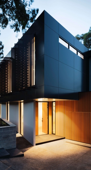 Betula MNE Dream-to-Reality II